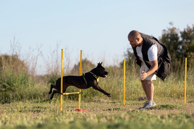 Canine Confidence: Boosting Your Dog's Self-Esteem through Training