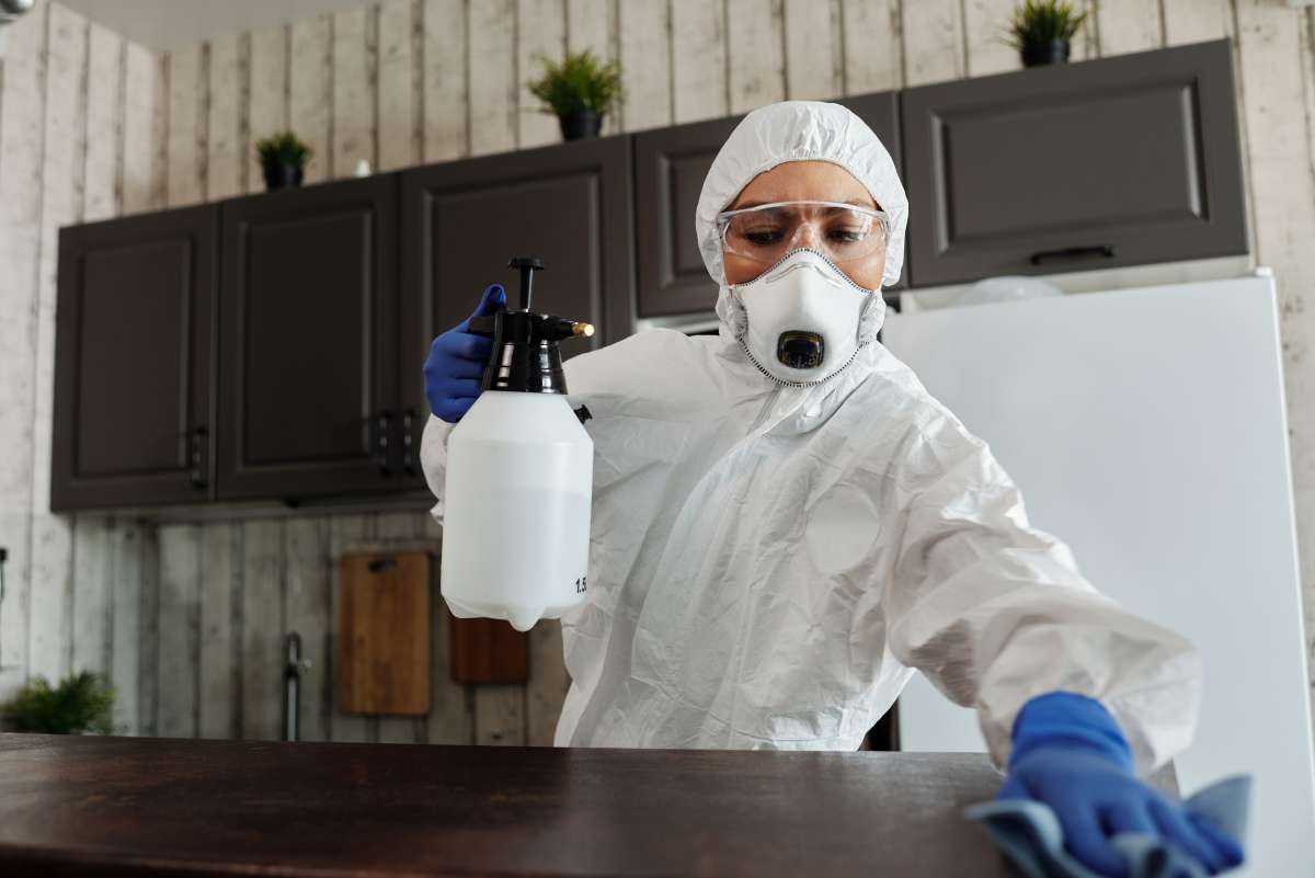 Pest Control Services: Your Ultimate Solution to Infestations