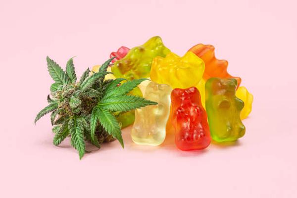 Chewy, Sweet, and Potent The Allure of HHC Gummies Explained