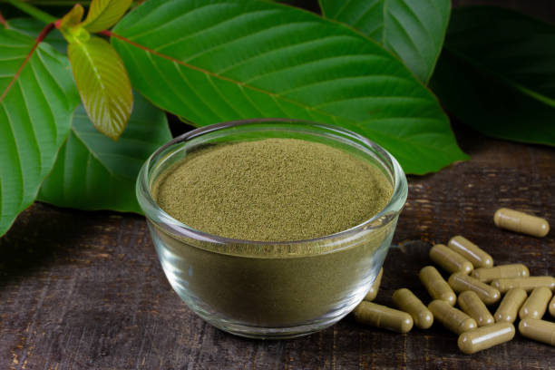 Kratom Legal Status in Florida Explained